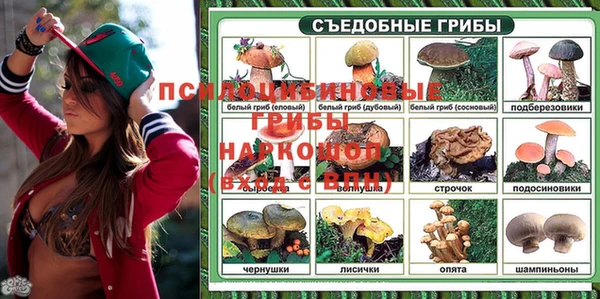 трава Горнозаводск