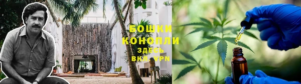 молекула духа Беслан