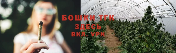 трава Горнозаводск