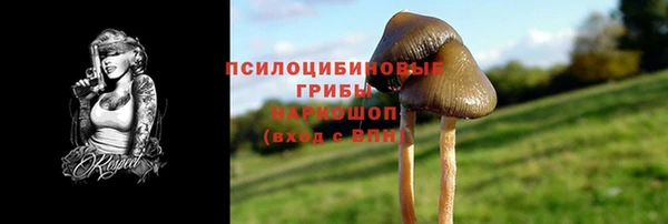 мет Горно-Алтайск