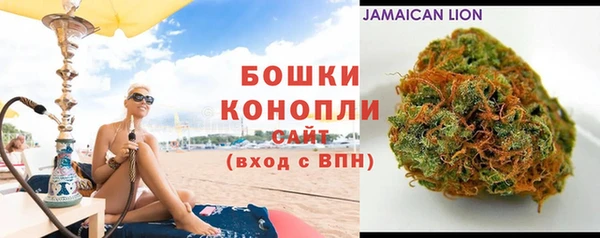 СК Бикин