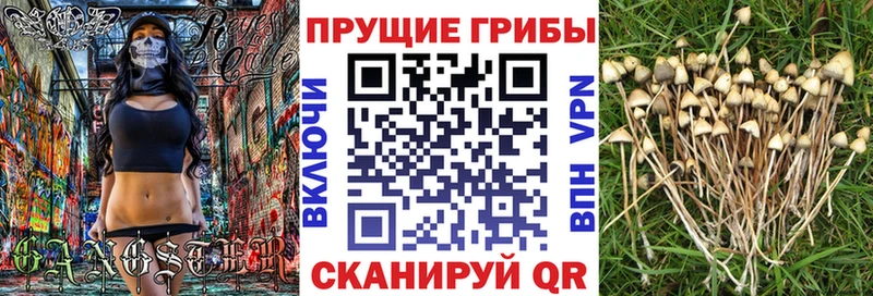 даркнет сайт  Грязи  Галлюциногенные грибы Magic Shrooms 